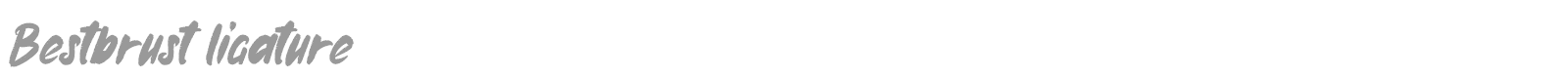 Bestbrust font preview